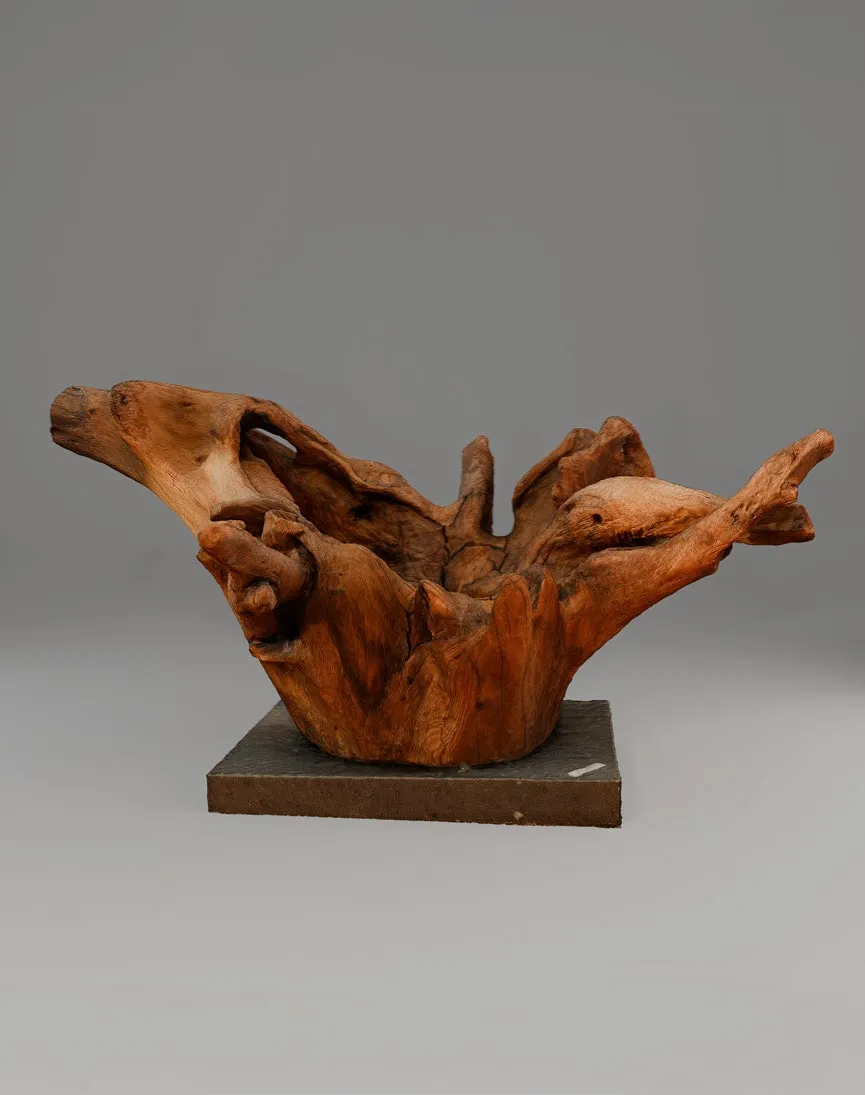 Тілек гүлі - View 1